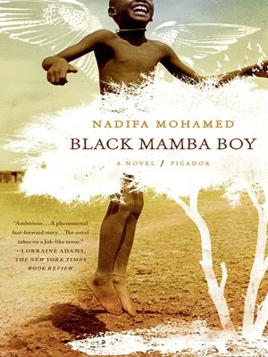 cover image of Black Mamba Boy